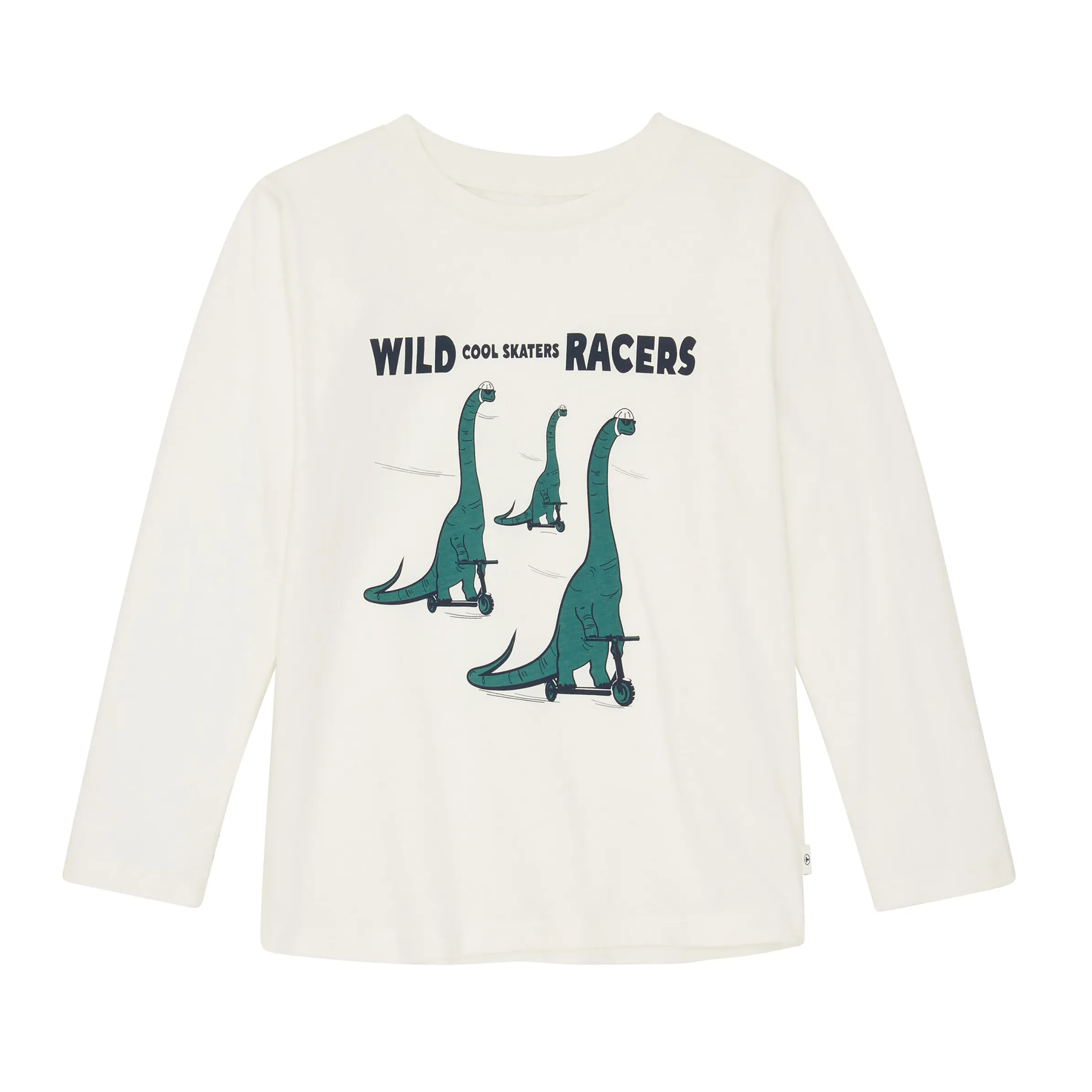 Jungen Longsleeve mit Dinomotiv