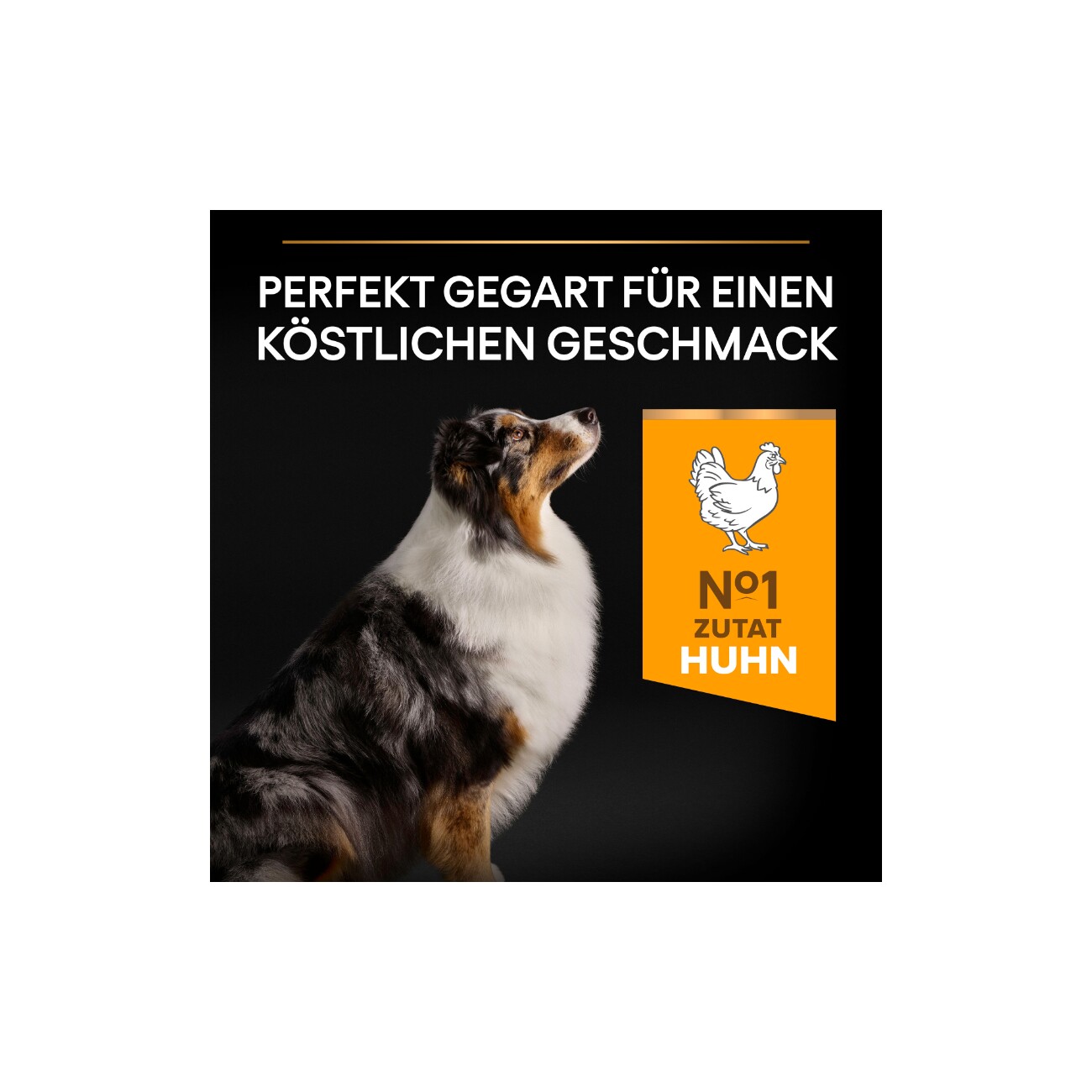 PRO PLAN Adult 7+ Medium & Large Age Defence Huhn 14 kg