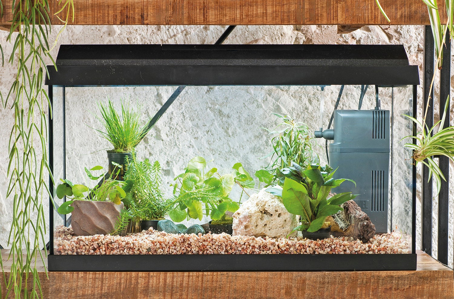 Juwel aquarium Primo 60 met filter zwart