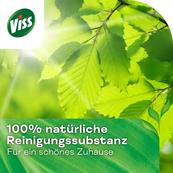 Cleanboost Scheuermilch Citrus
