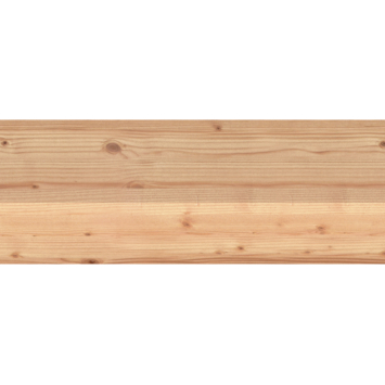 Tuinpaal vierkant Douglas fijnbezaagd ca. 15 x 15 cm, lengte ca. 300 cm