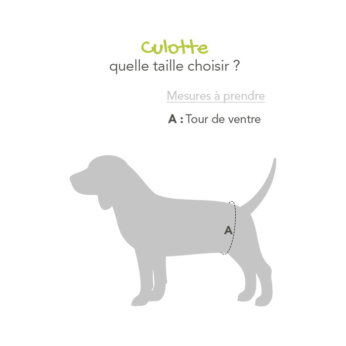 Bande ventrale pour mâles