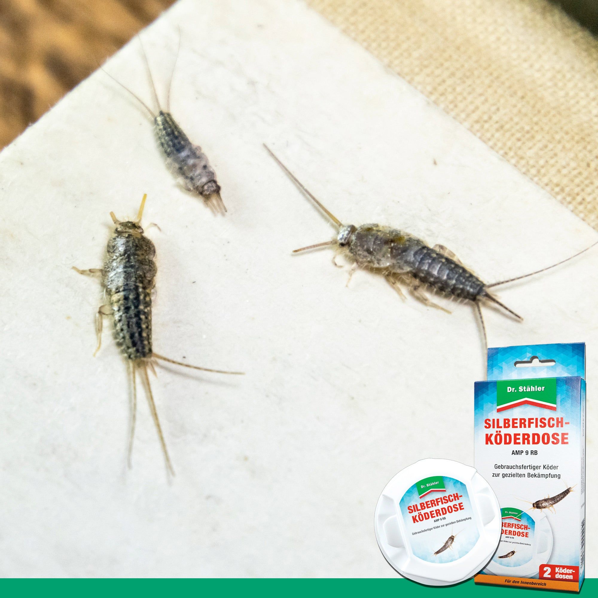 SILBERKRAFT Silberfisch Köderdose