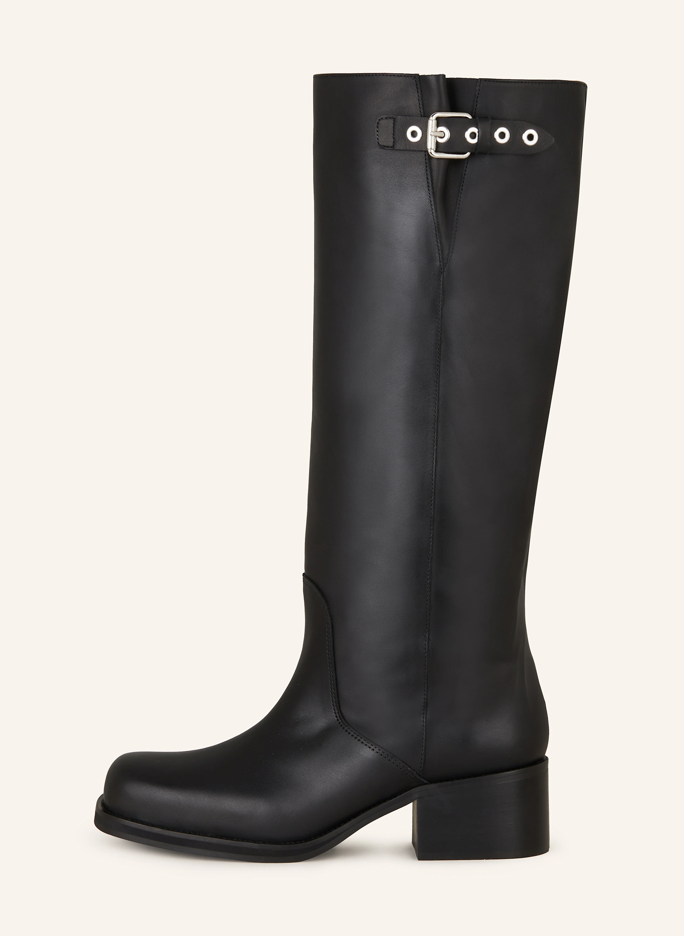 Toral Stiefel