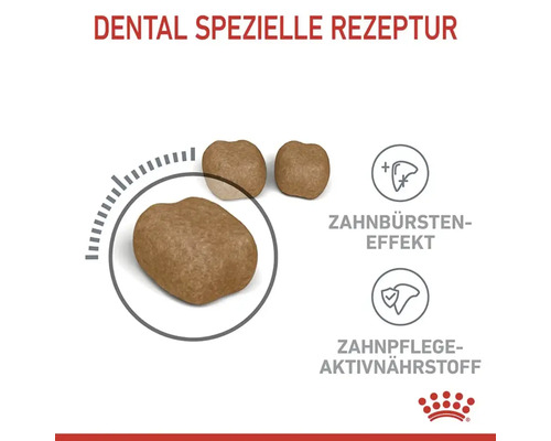Droog kattenvoer, ROYAL CANIN Dental Care voor gezonde tanden met actieve voedingsstoffen voor gebitsverzorging, 8 kg