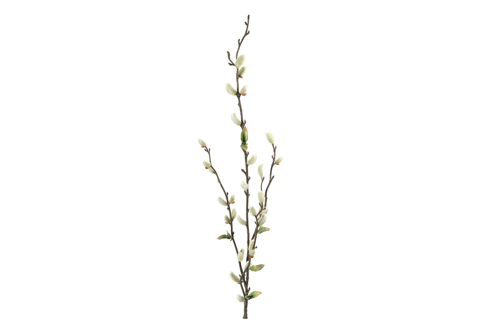 Kvist Brun H:85 cm