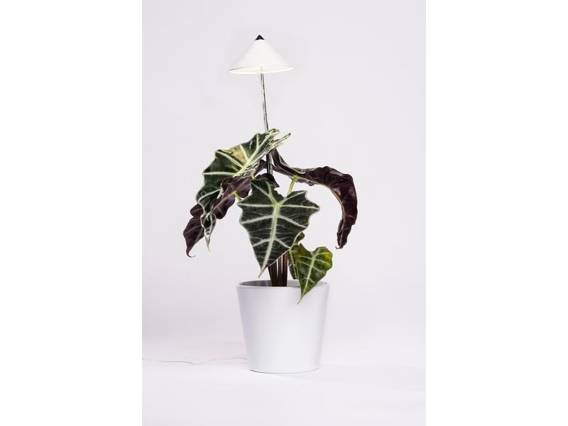 Venso Solutions Pflanzenleuchte SunLite 7 W, Weiss LED-Pflanzenlampe mit Vollspektrum