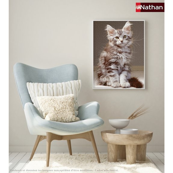 Puzzle 1000 Pièces Nathan - Le chaton Maine Coon