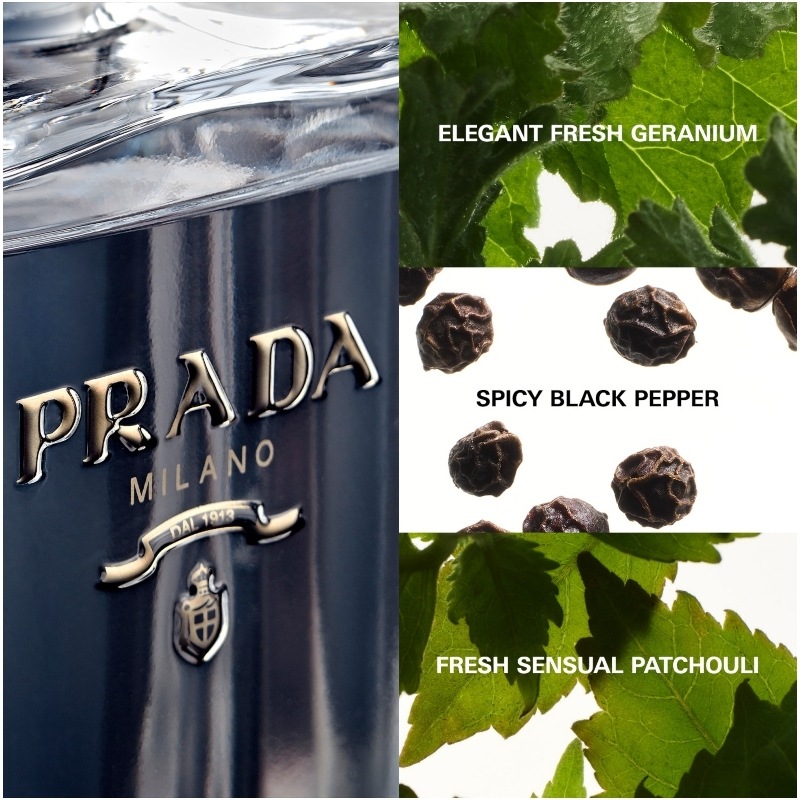 Prada L'Homme EDT 100 ml