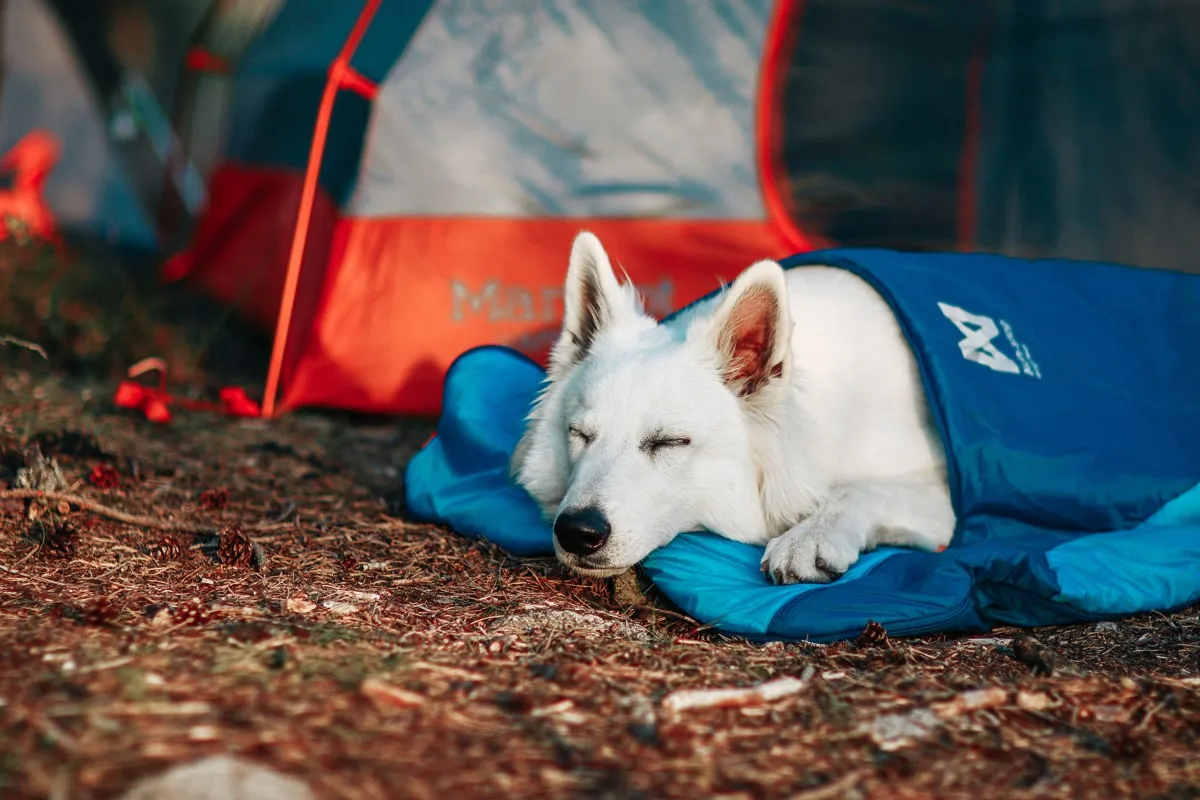 Non-stop Dogwear Ly Sleepingbag For Dog Blue