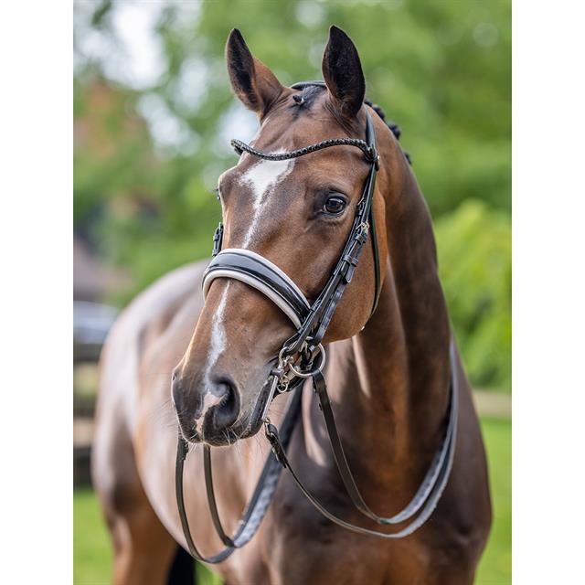Stang En Trens LeMieux Kudos Zwart-wit