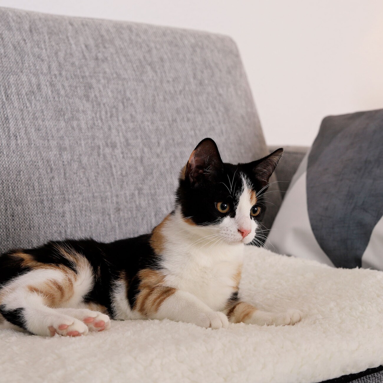 Lionto Wärmematte CozyHeat