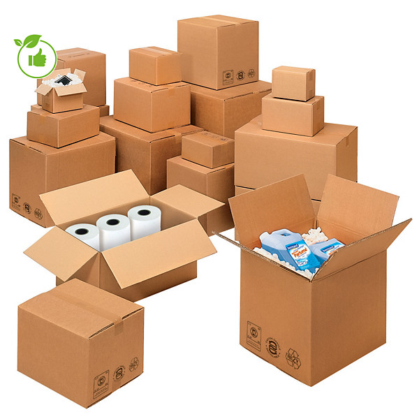Cartons double Cannelure 392x292x290, lot de 10