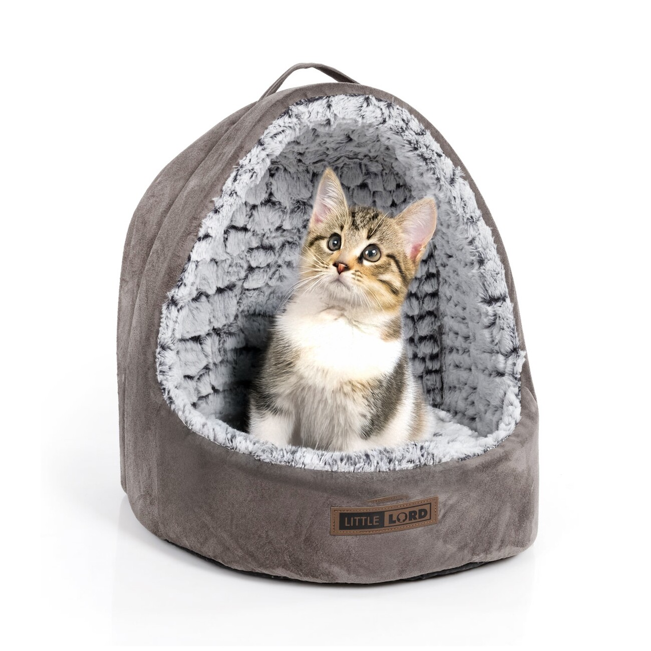 LITTLE LORD Bett Shelly taupe