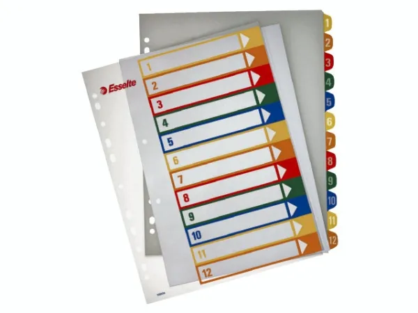 Register PC printbar Esselte PP A4 maxi Flerfarvet - (10 stk.)