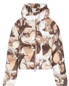 EA7voor vrouwen. 7W000690_AF15969 Bomberjack Apres Ski bruin (XS), Casual, Polyester