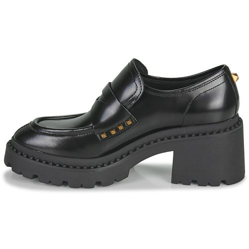 Ash - NELSON STUD - Noir