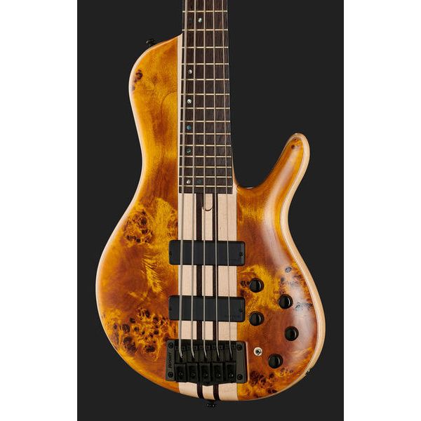 Cort A5 Plus SC Amber Open Pore