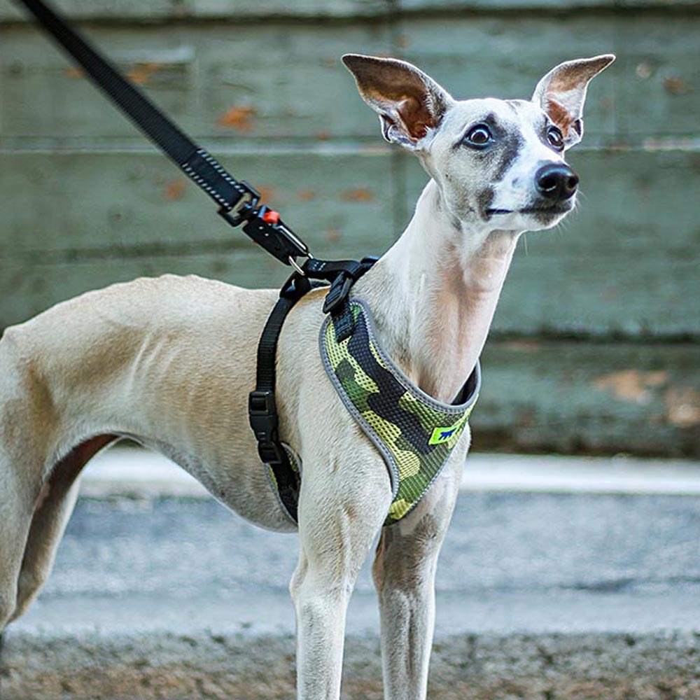 Harnais pour chiens nikita fashion m respirant, rembourré et ajustable