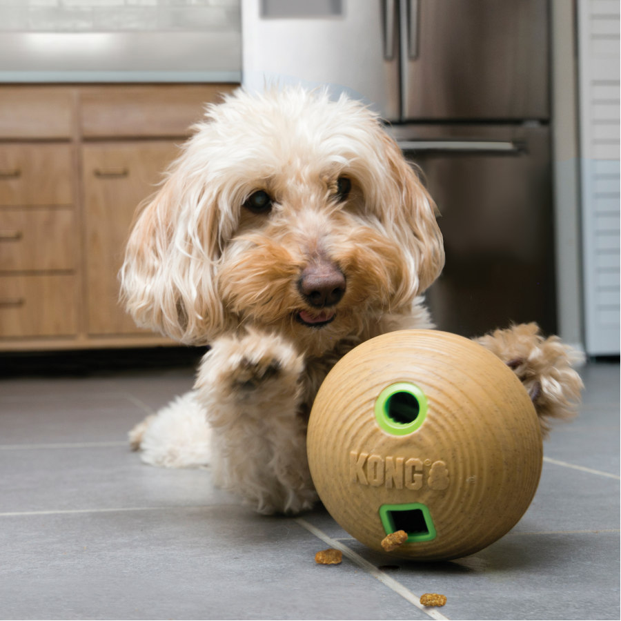 Bola de bambu Kong para petiscos para cães