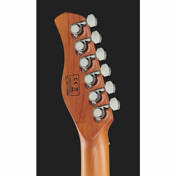 Larry Carlton T7 TS