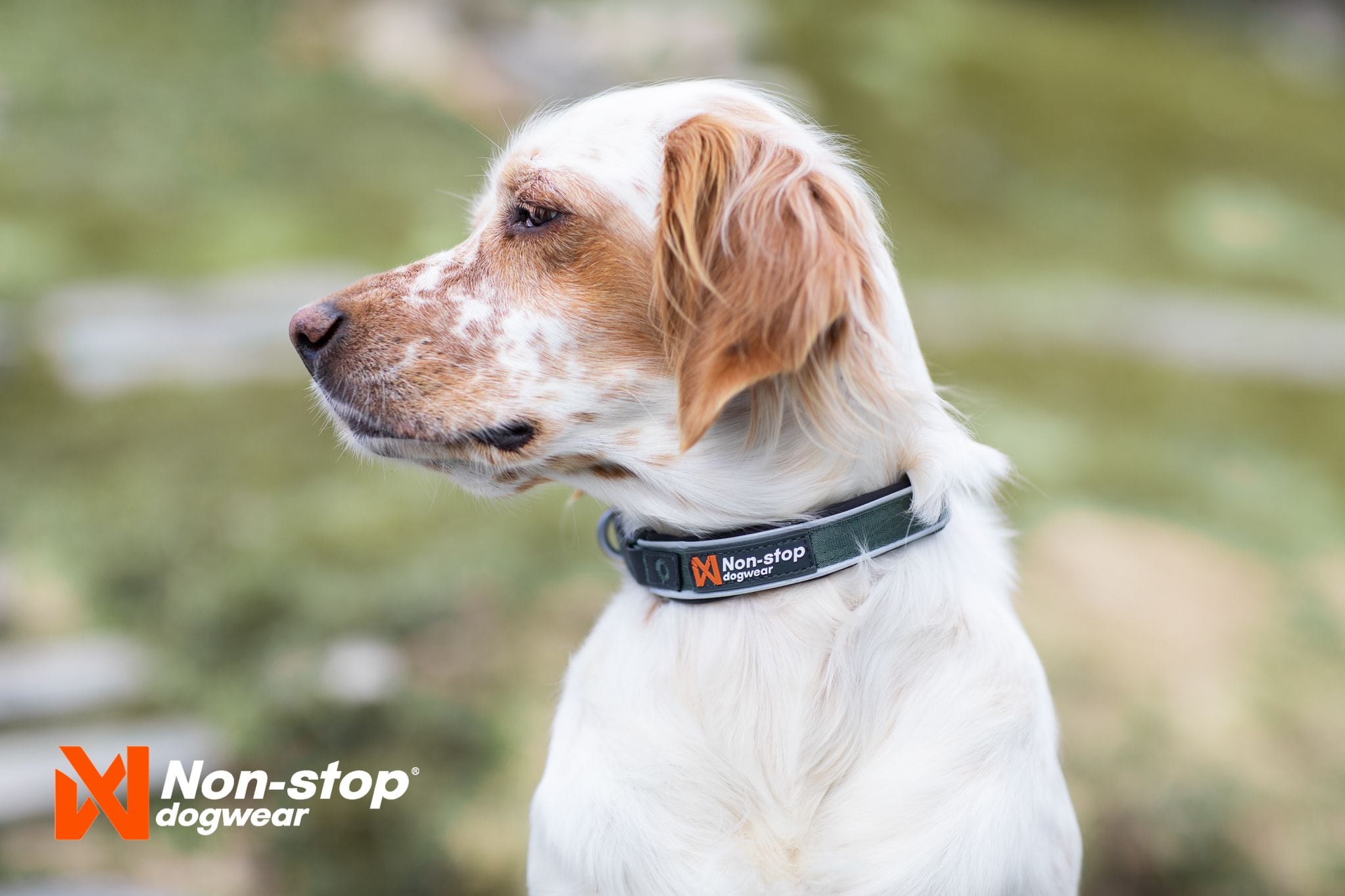 Non-Stop Dogwear Roam Collar<br>For en aktiv hverdag!