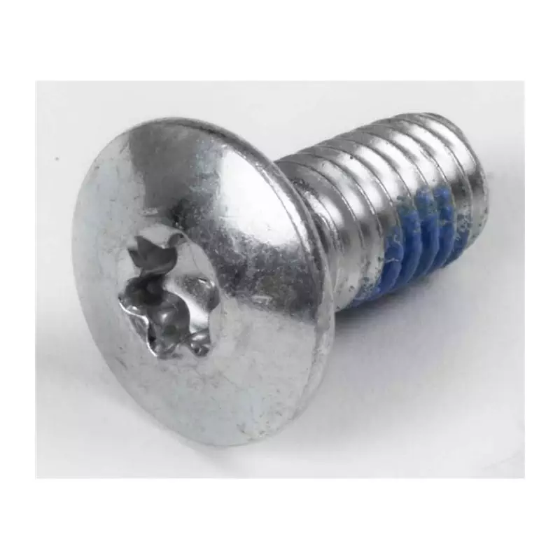 Visserie roller POWERSLIDE TorxMounting Screw L14mm, M6, smalll Head
