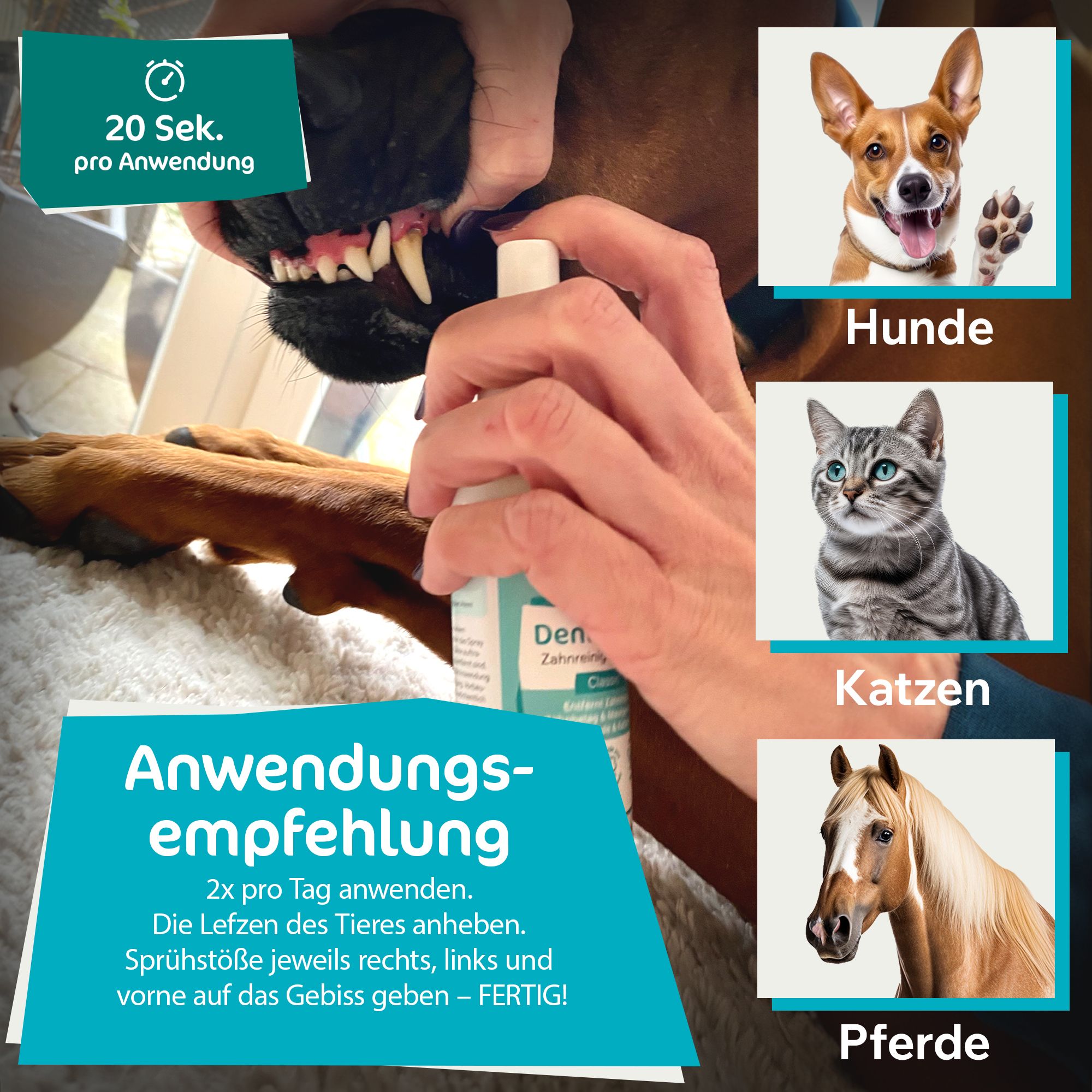 PowerPets -DentaClean - Zahnpflegespray