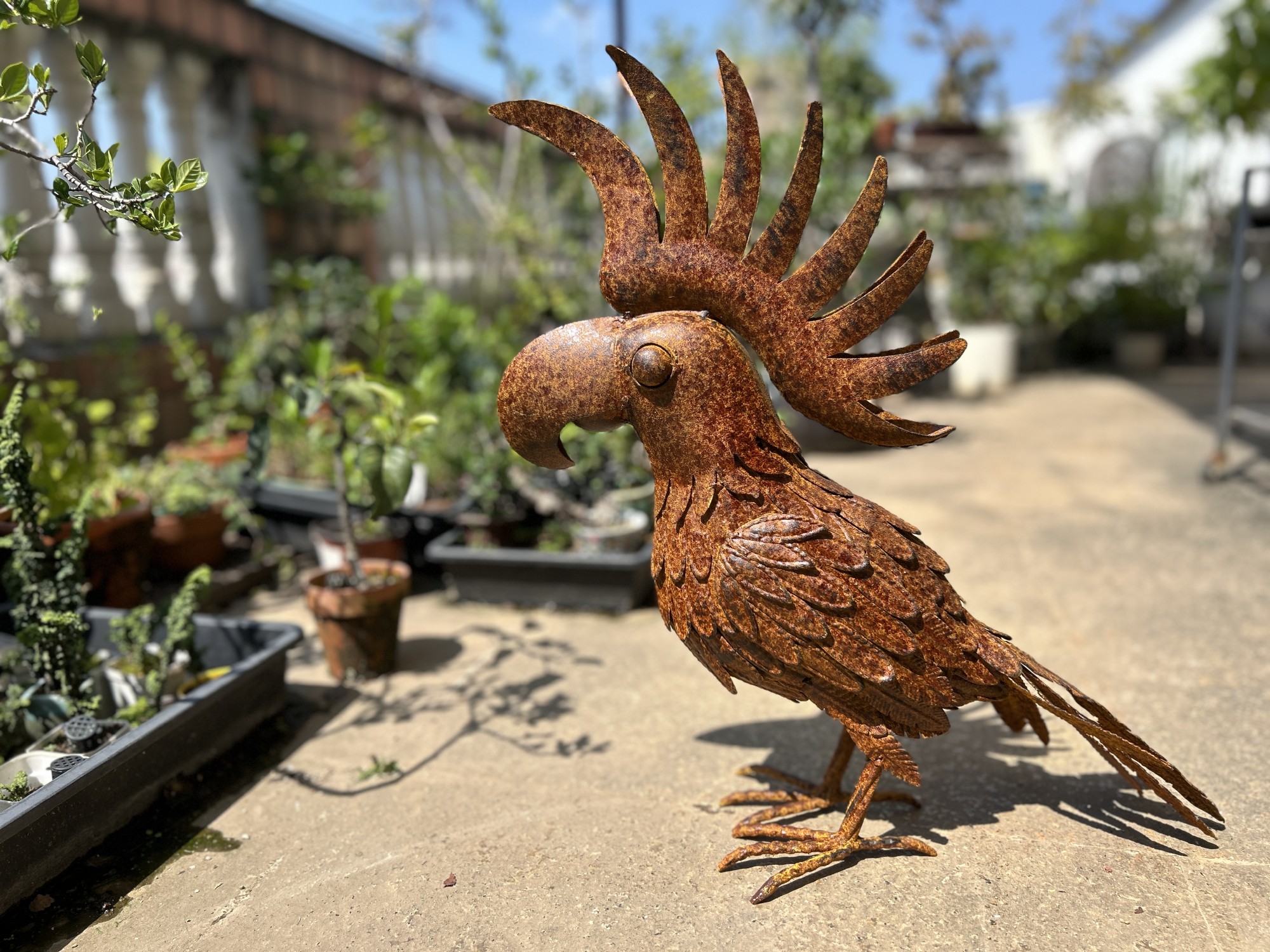 Metall-Skulptur 'Kakadu', rost, B 52 cm, T 16 cm, H 51 cm günstig bestellen