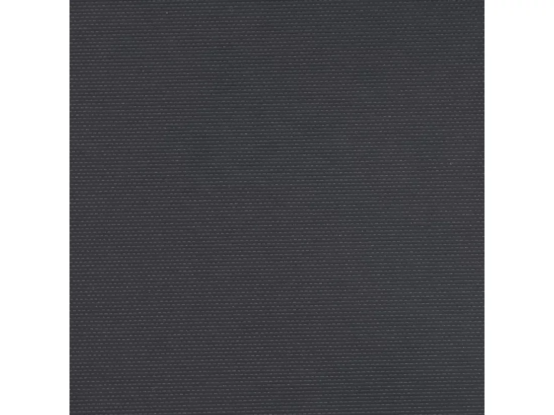 Auvent latéral rétractable noir 220x500 cm