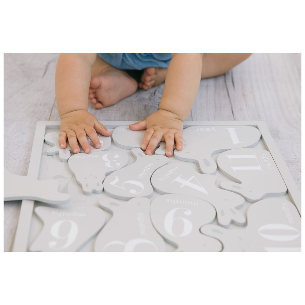 PearheadPearhead   Meilensteine Puzzle