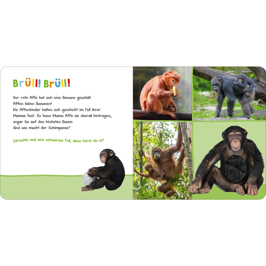 arsEdition Hör mal rein, wer kann das sein? Zootiere