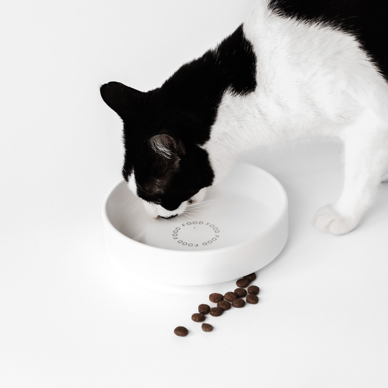 Minty&Marla Extra flacher Katzennapf Keramiknapf Food, 480ml