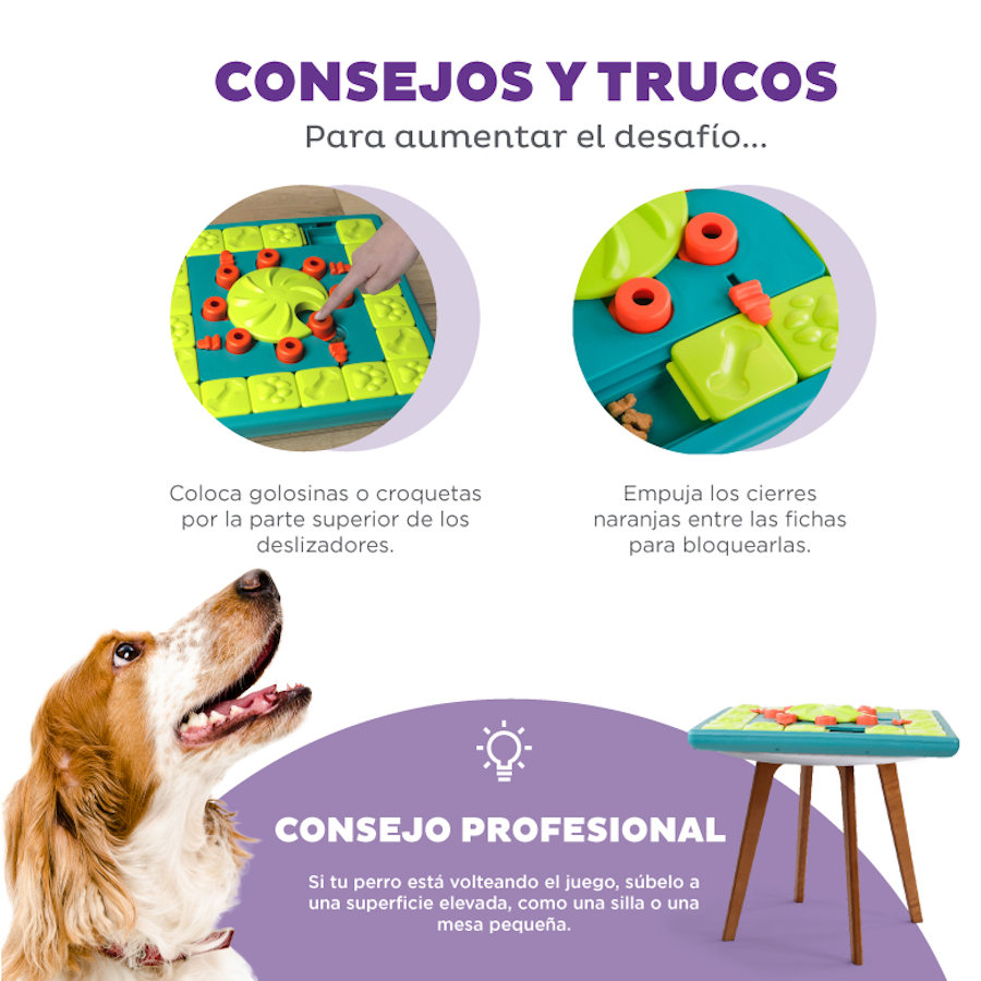 Brinquedo de inteligência multifuncional Outward Hound Nina Ottosson para cães
