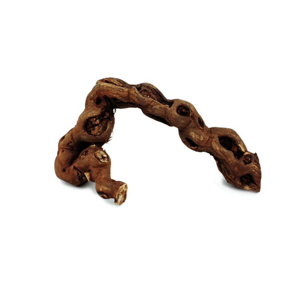 Bois de vigne 18-20 cm