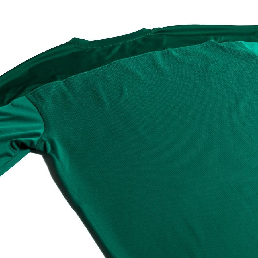 PUMA T-shirt d'Entraînement teamGOAL 23 - Vert/Vert