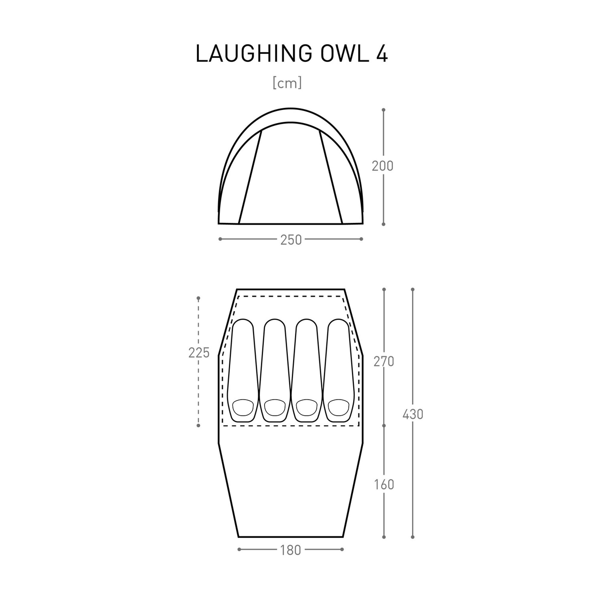 Laughing Owl 4
