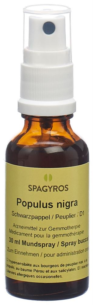 Spagyros Populus nigra Glyc Maz 1 D Spr 30 ml