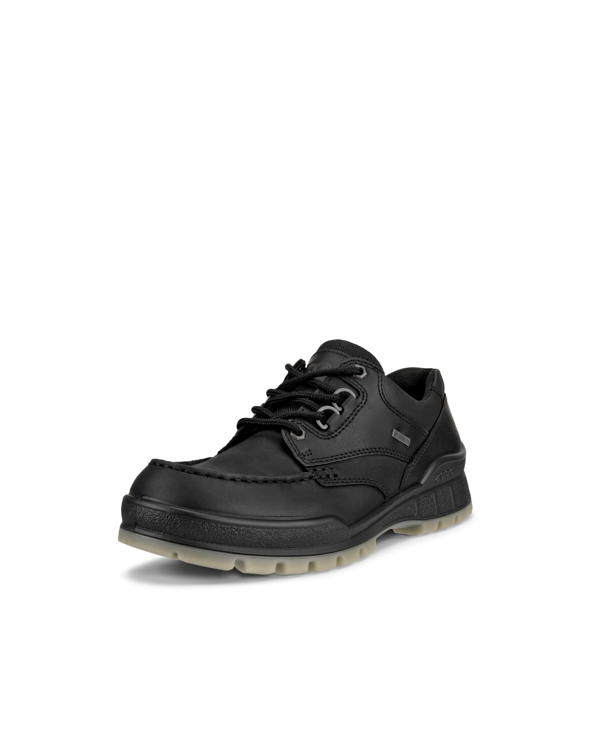 ECCO TRACK 25 M Herren Gore-Tex Schuh aus Leder Schwarz