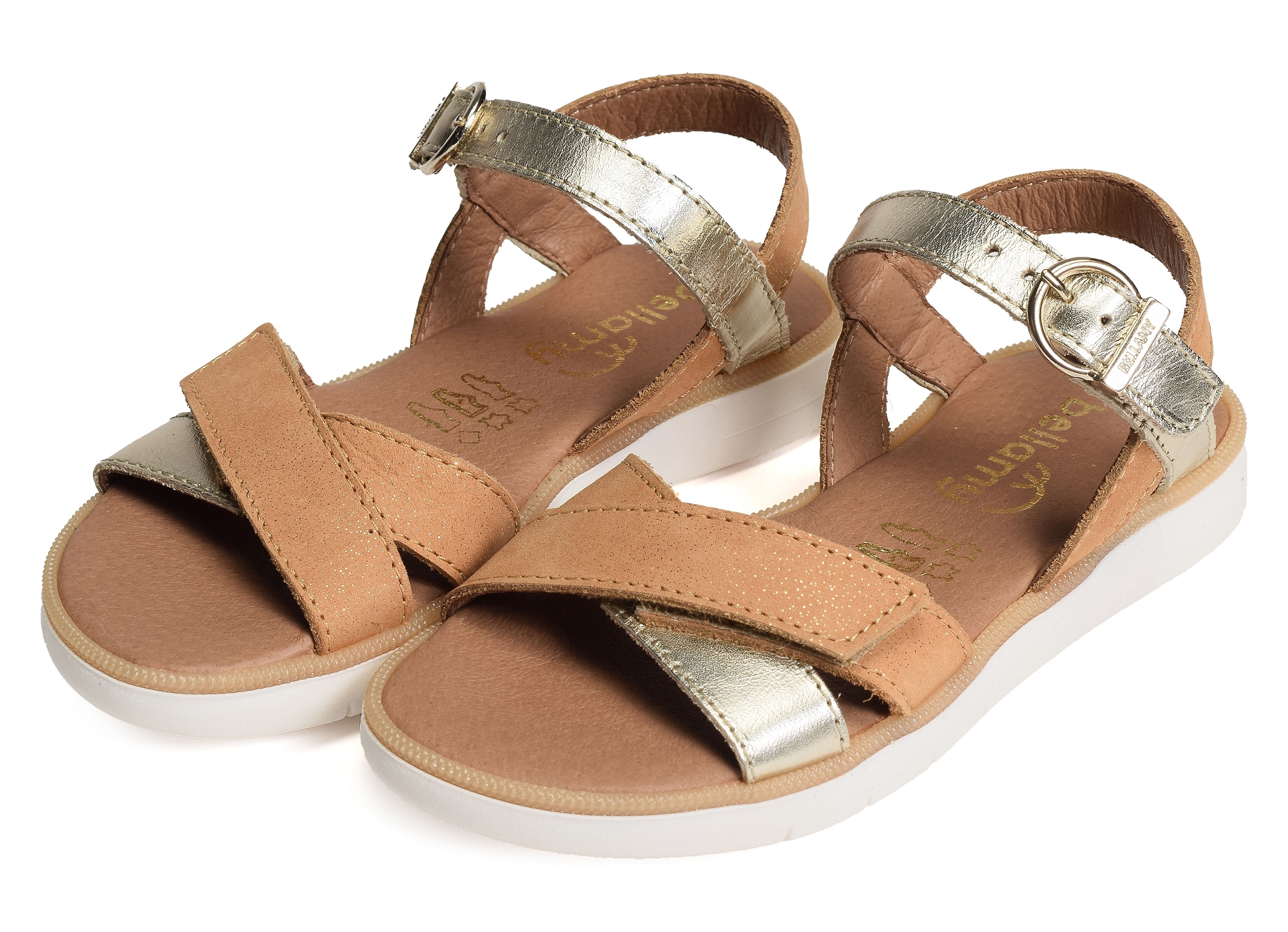 Cuvac camel or