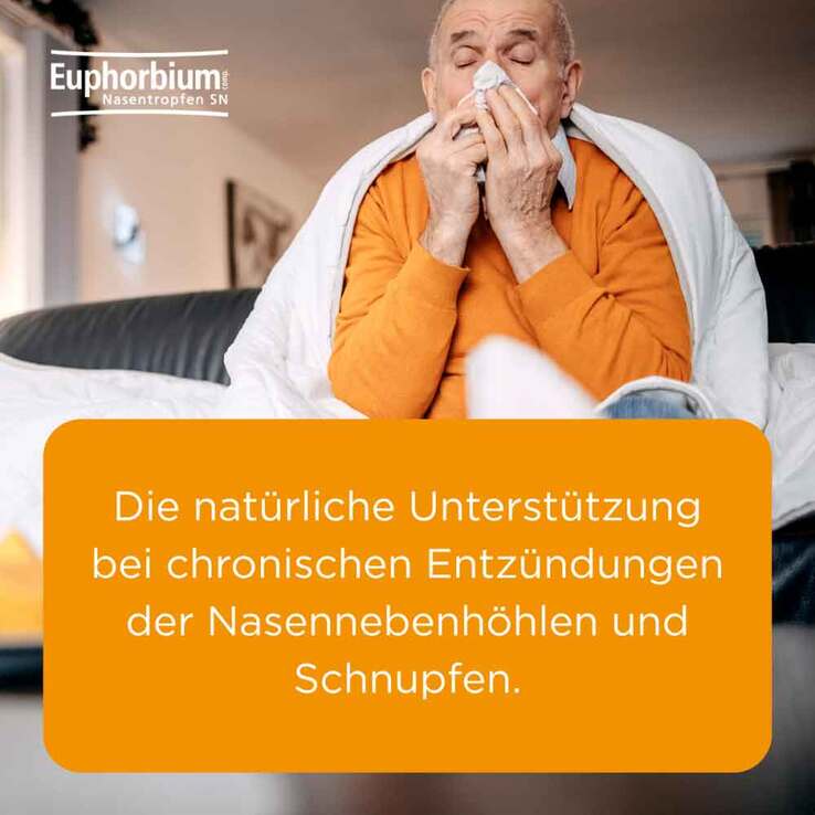 Euphorbium Compositum Nasentropfen SN Nasendosierspray, 20 ml