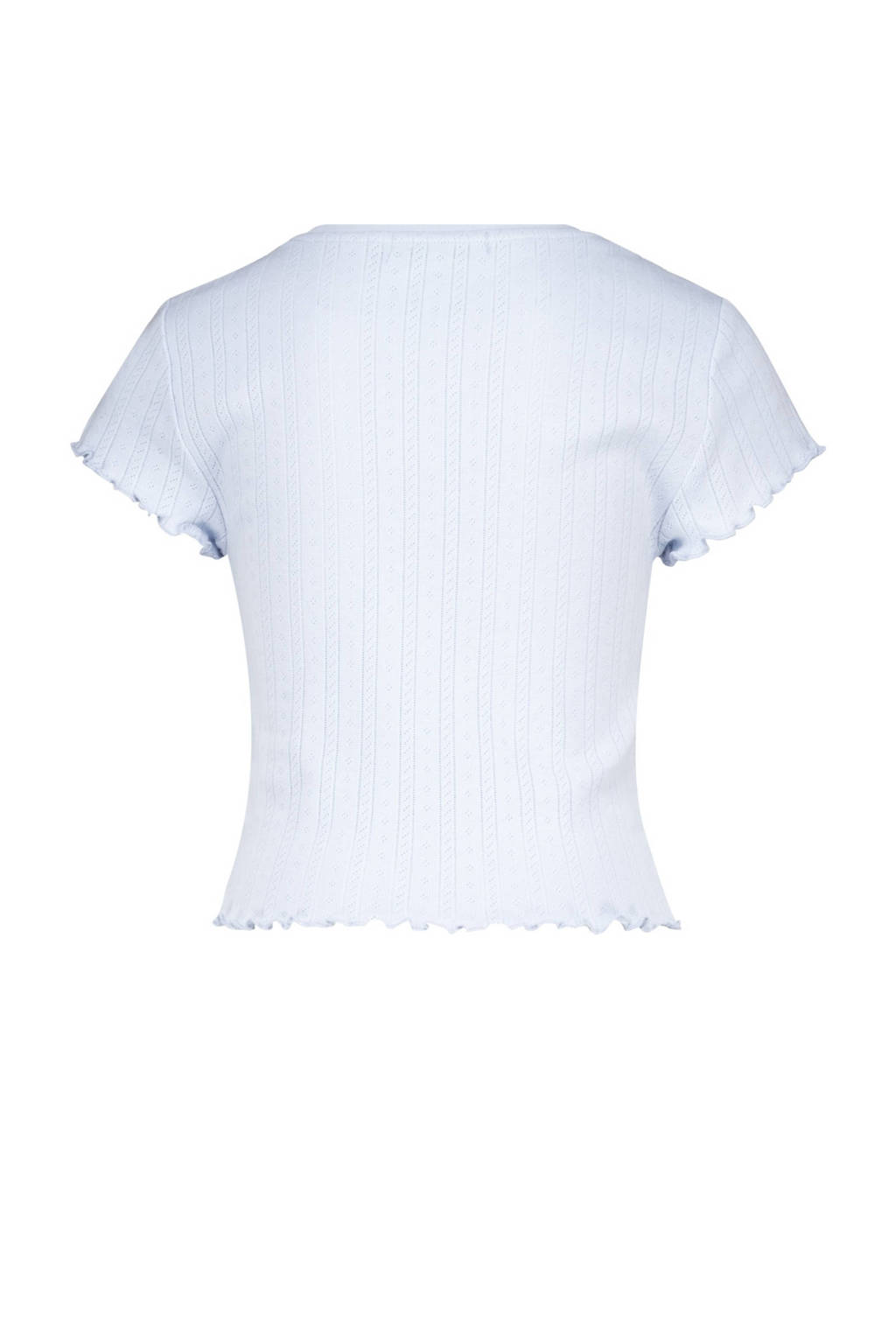 America Today T-shirt met all over print en textuur babyblauw