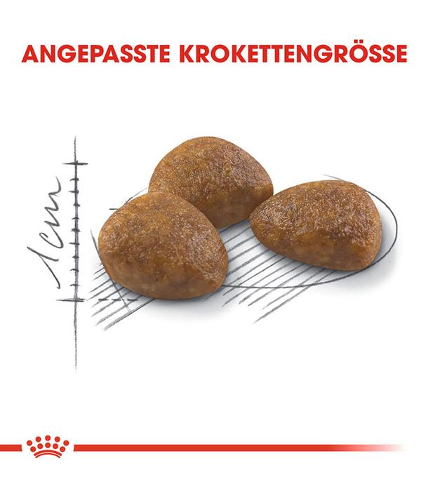 ROYAL CANIN® Trockenfutter für Katzen