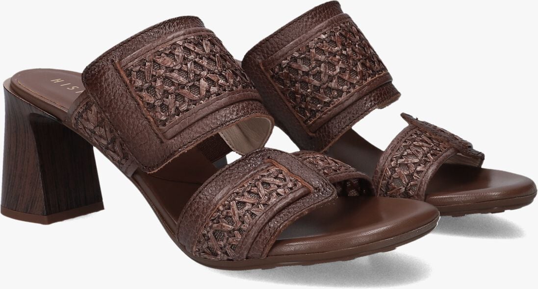 bruine hispanitas muiltjes rhv264747