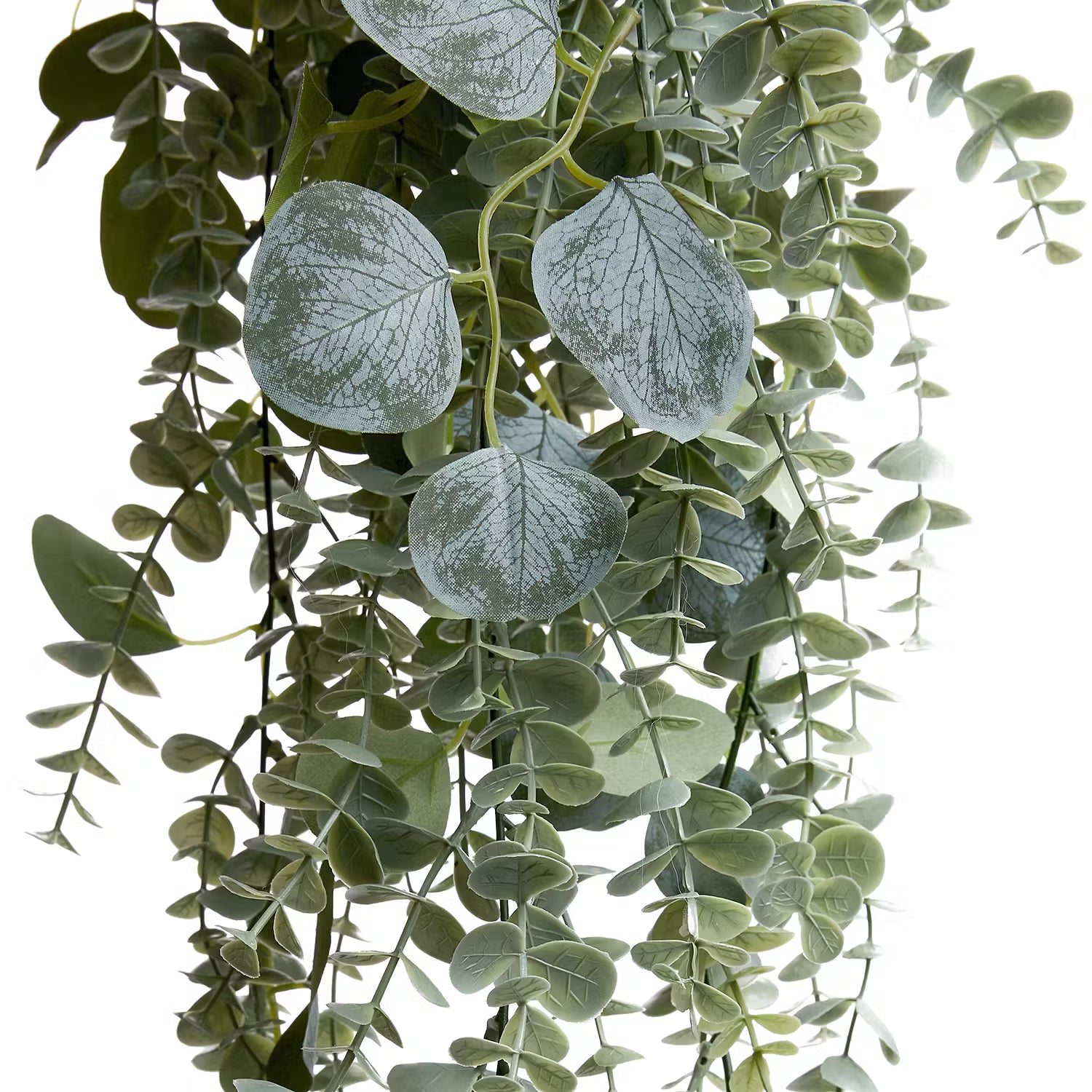 FLORISTA Kunsthängepflanze Eukalyptus