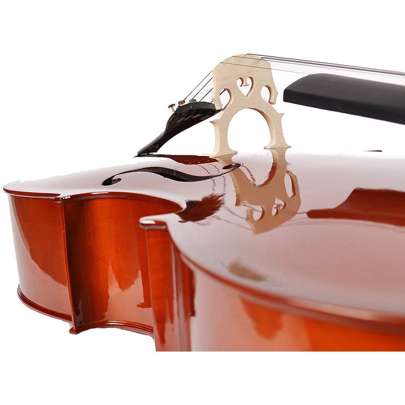 Leonardo LC-1012 Basic Series Cello Outfit 1/2 cello inclusief draagtas en strijkstok