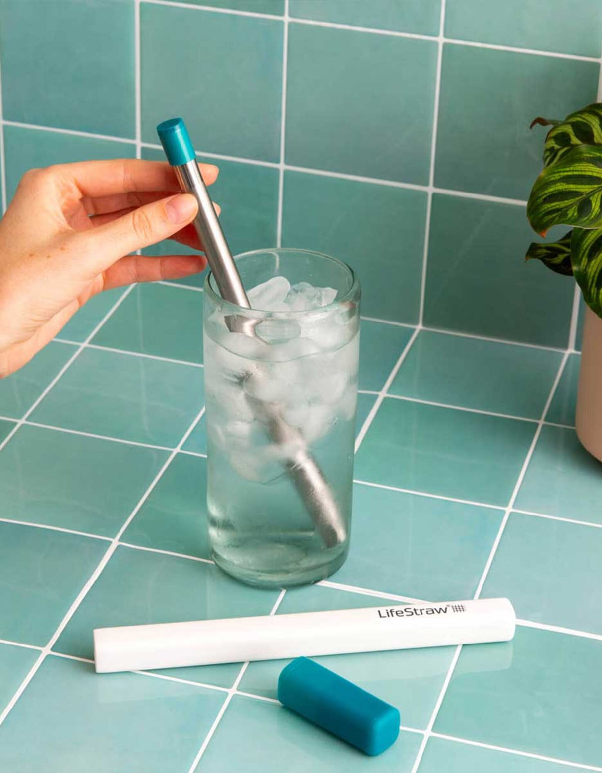 Lifestraw<br>Sip 1-Piece With Carry Case