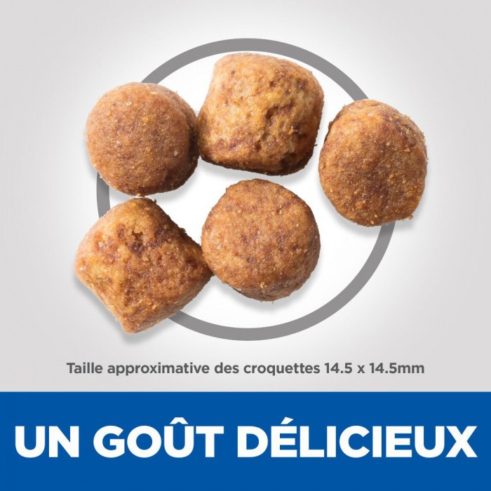 HILL'S Science Plan Healthy Mobility Large Adult au Poulet - Croquettes pour chien