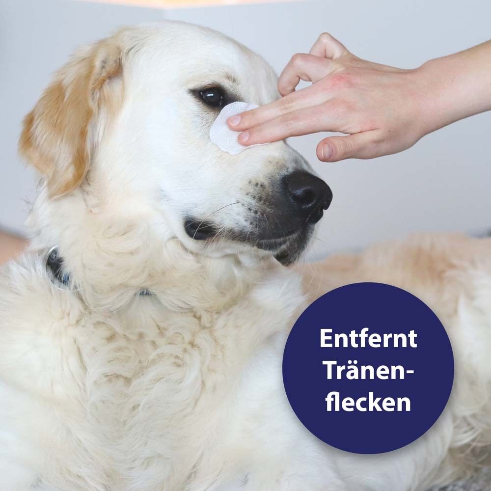 Canosept® Augenpflege-Pads für Hunde