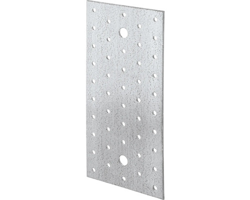 Geperforeerde plaat 200 x 100 mm, sendzimir verzinkt, 1 stuk
